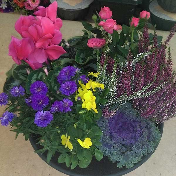 Bar à fleurs Montalieu - coupe plantes deuil