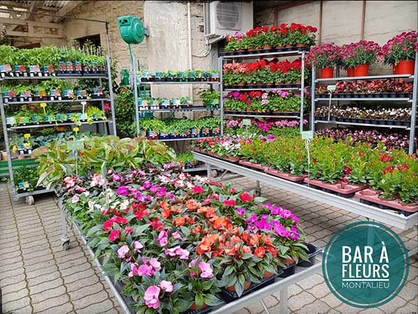 Bar à fleurs Montalieu - c'est le moment de planter