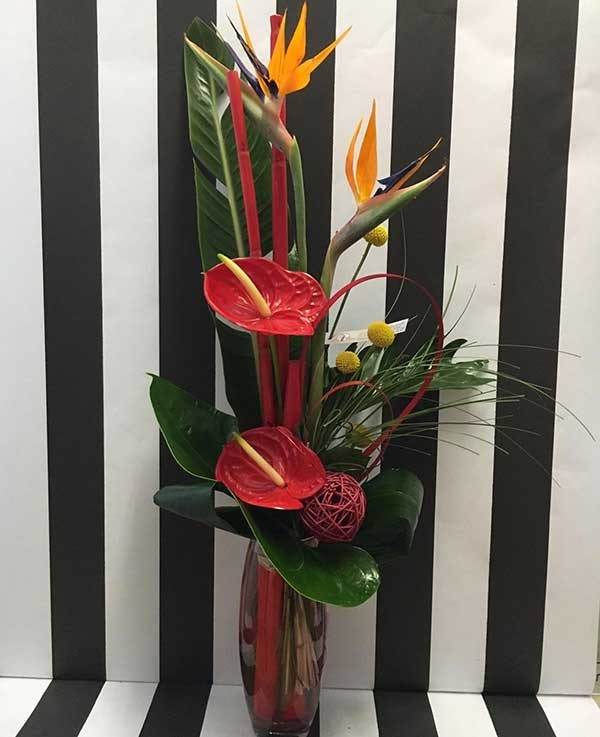 bouquet hauteur cosmopolitan